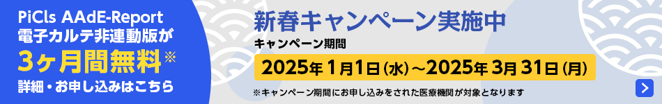 「PiCls AAdE-Report」新春キャンペーン実施中